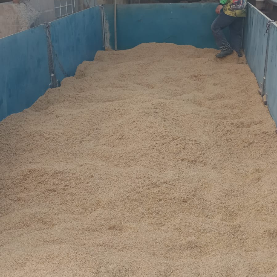 Textura da casca de arroz