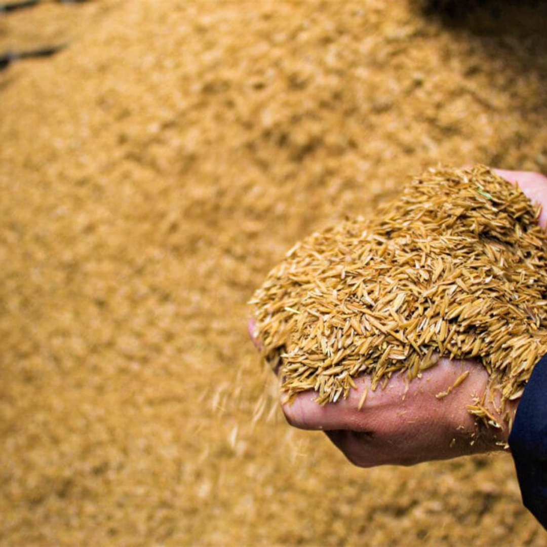 Aplicação em jardim